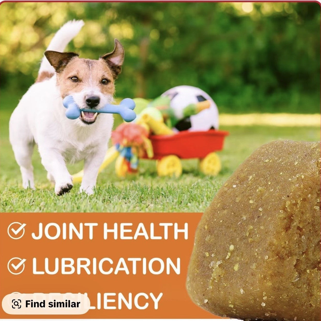Oimmal Hip & Joint Glucosamine Chews for Dogs