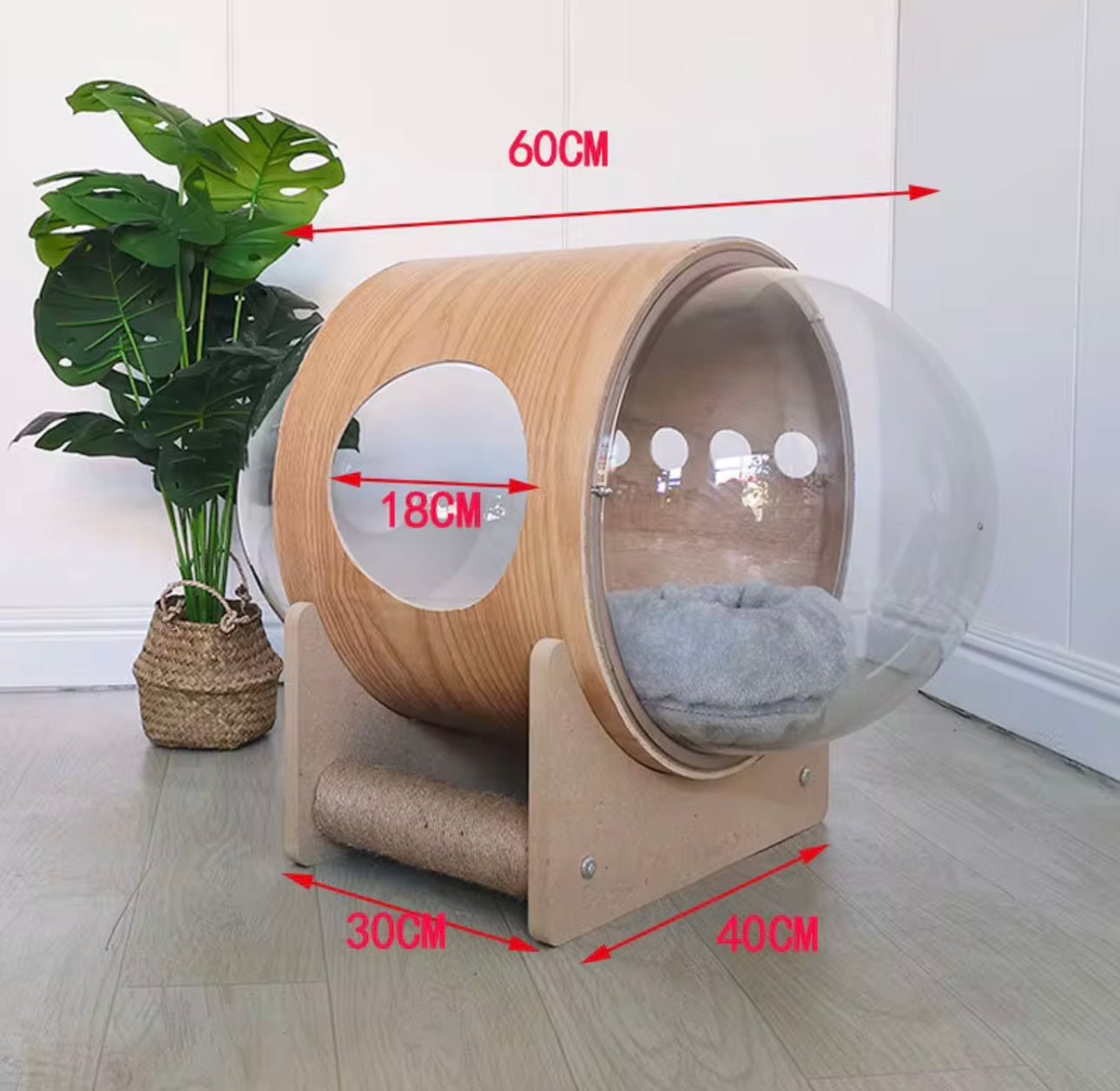 Modern Wooden Cat Capsule Bed — Transparent Bubble Design