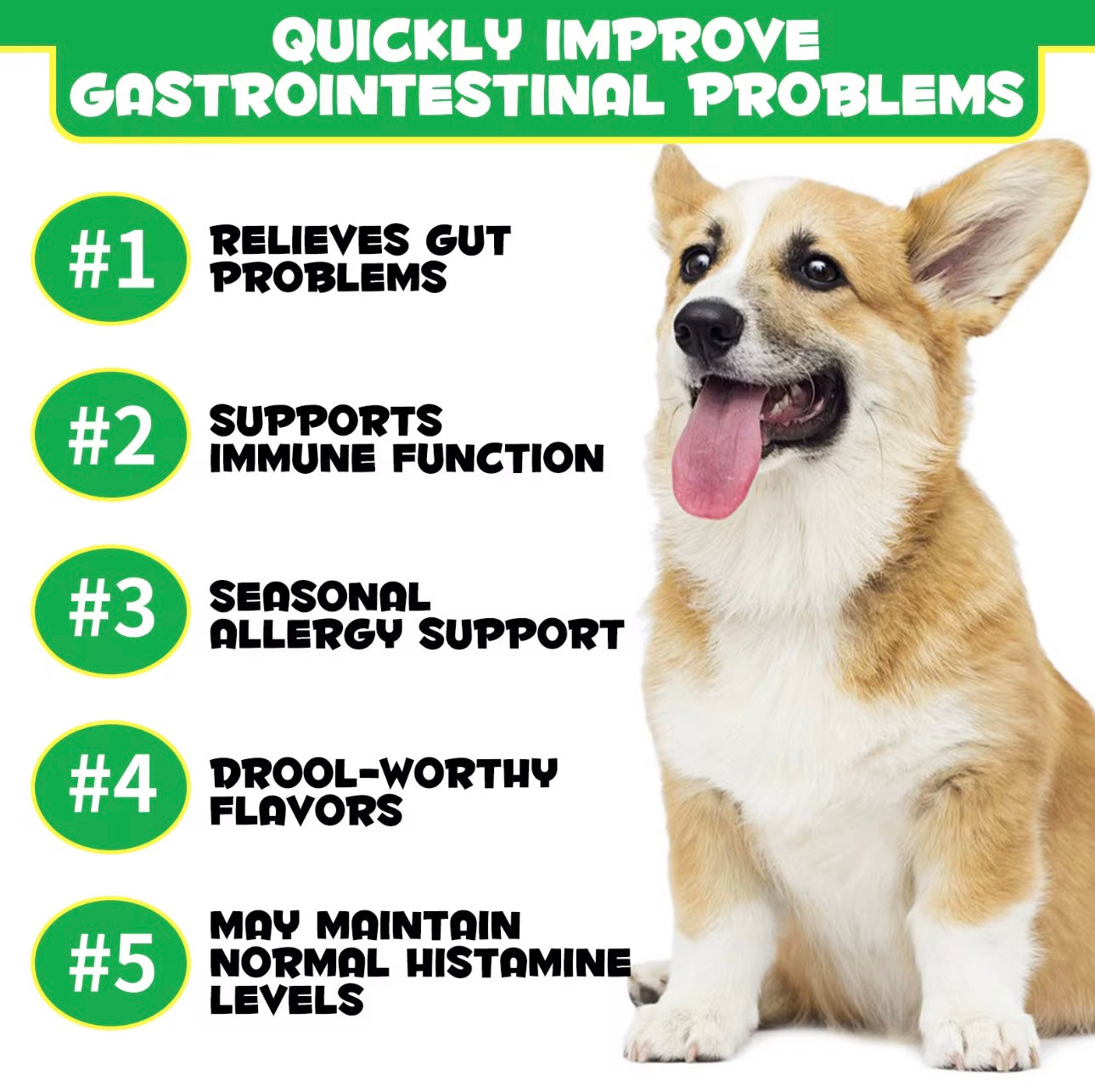 Oimmal Pre & Probiotic Digestive Chews for Dogs