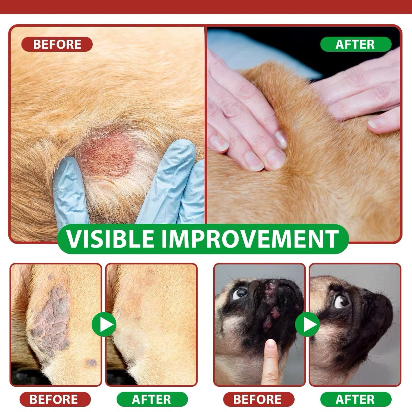 NEW ARRIVAL - Oimmal Restore + Soothe Hot Spot Spray for Dogs