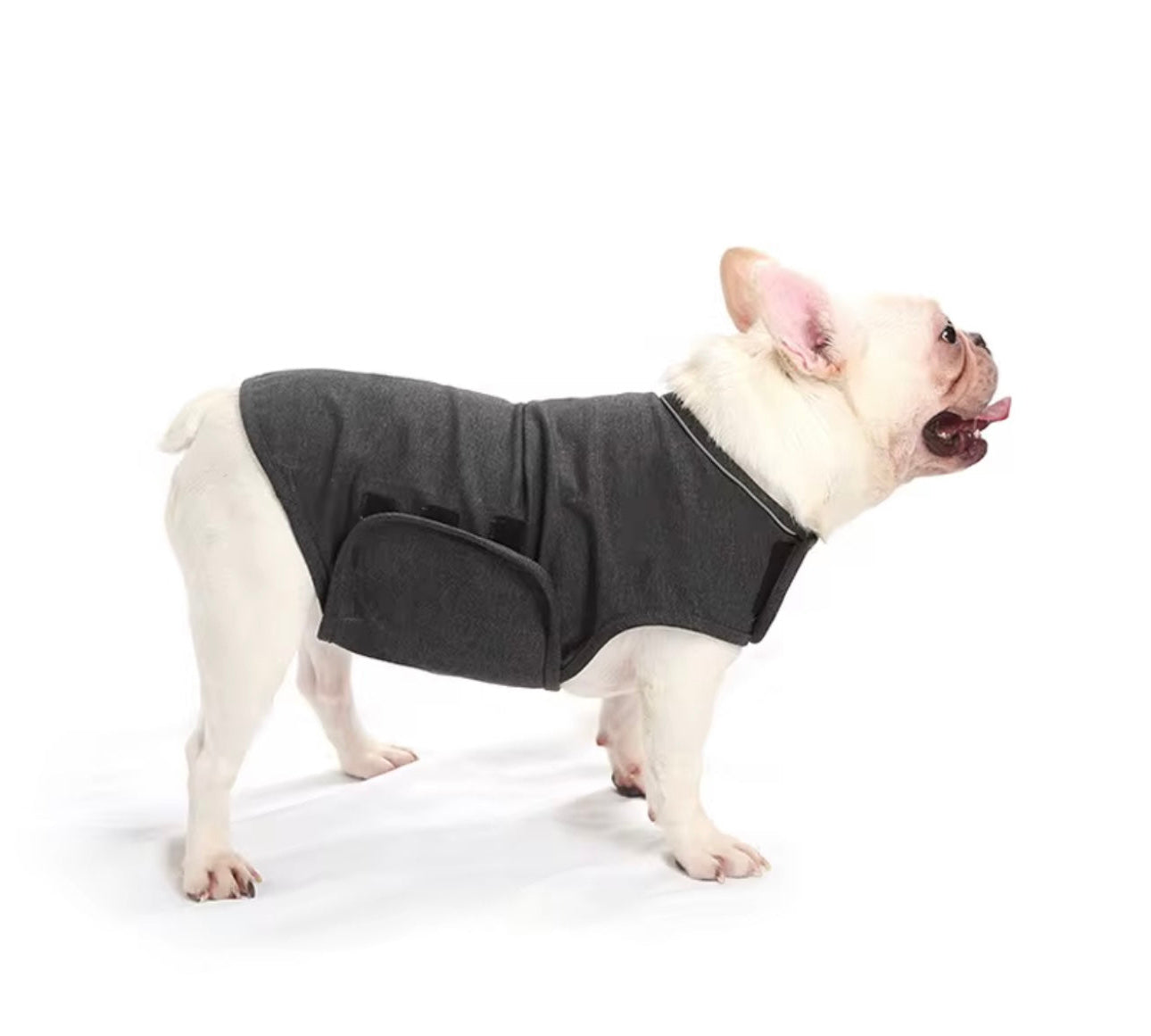 🐾Calming Pet Anxiety Vest