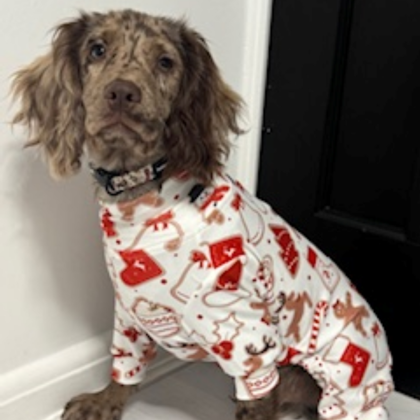 🎄Pooch Festive “Paw-liday Cookie Crunch” Christmas Pyjamas