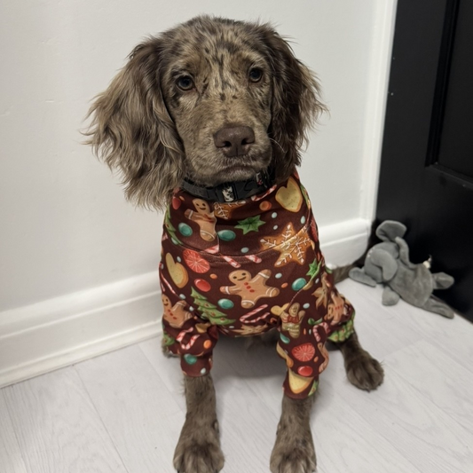🎄Pooch Festive “Biscuit & Bone Bonanza” Christmas Pyjamas