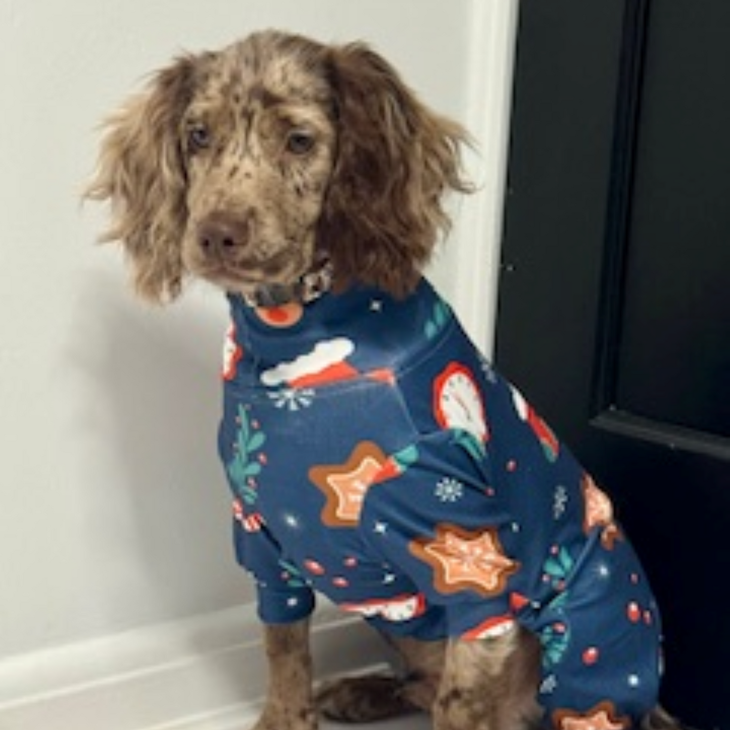 🎄Pooch Festive “Rein-DOG Romp” Christmas Pyjamas