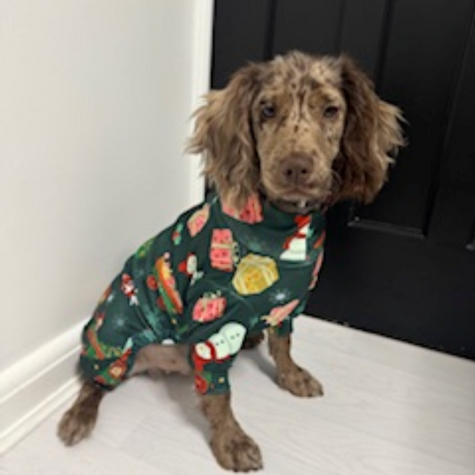 🎄Pooch Festive “Bark the Halls Express” Christmas Pyjamas