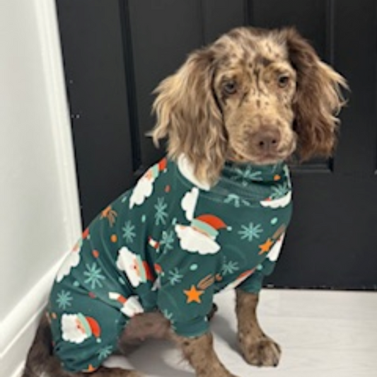 🎄Pooch Festive “Santa Paws & Snowflakes” Christmas Pyjamas