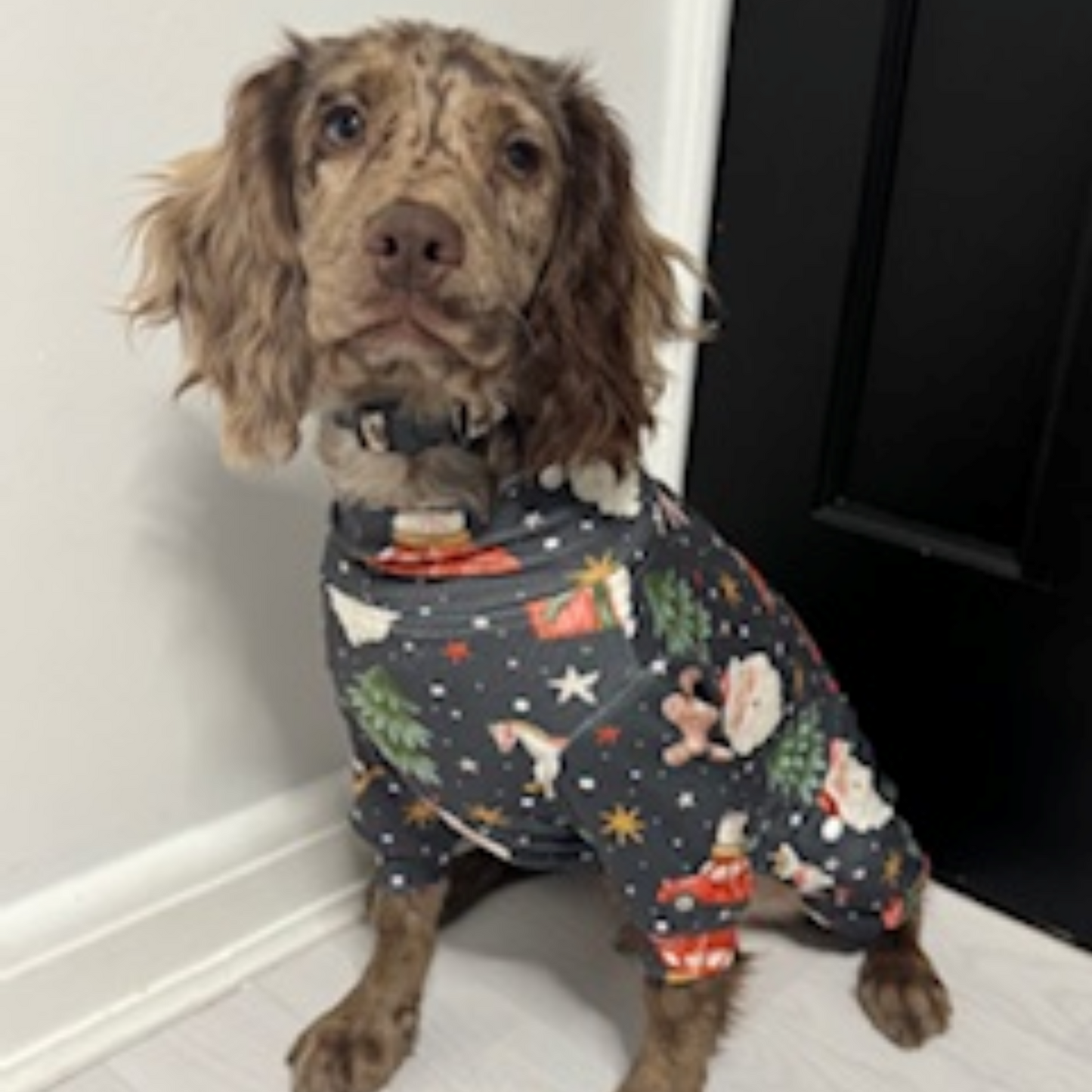 🎄Pooch Festive “Silent Night, Snoring Pup” Christmas Pyjamas