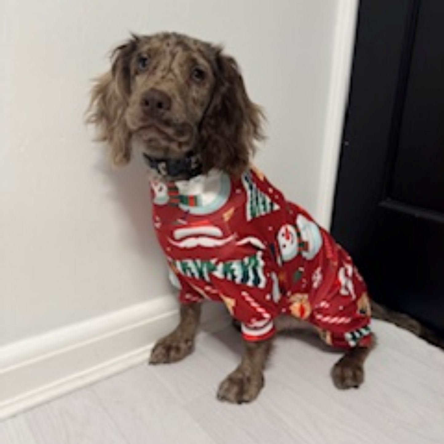🎄Pooch Festive “Snow Woof Wonderland” Christmas Pyjamas