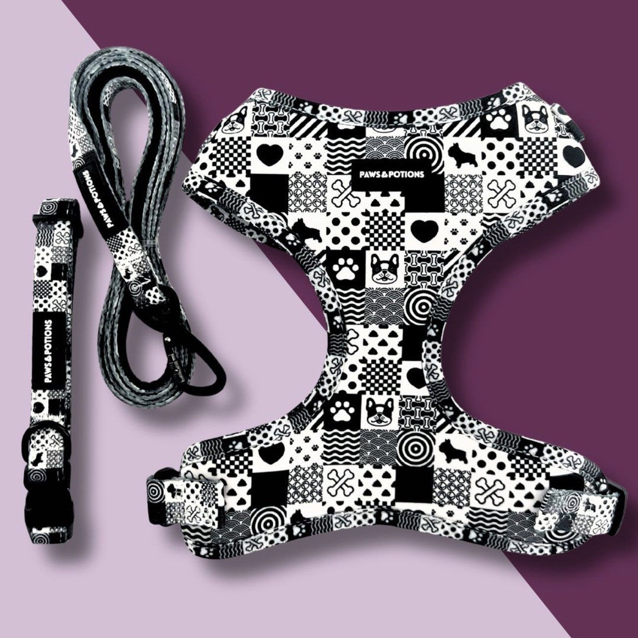 Dog Harness, Collar, Lead, Poo Bag Holder, Bow & Bandana - Paws Everyday Collection - “Monochrome Mischief”