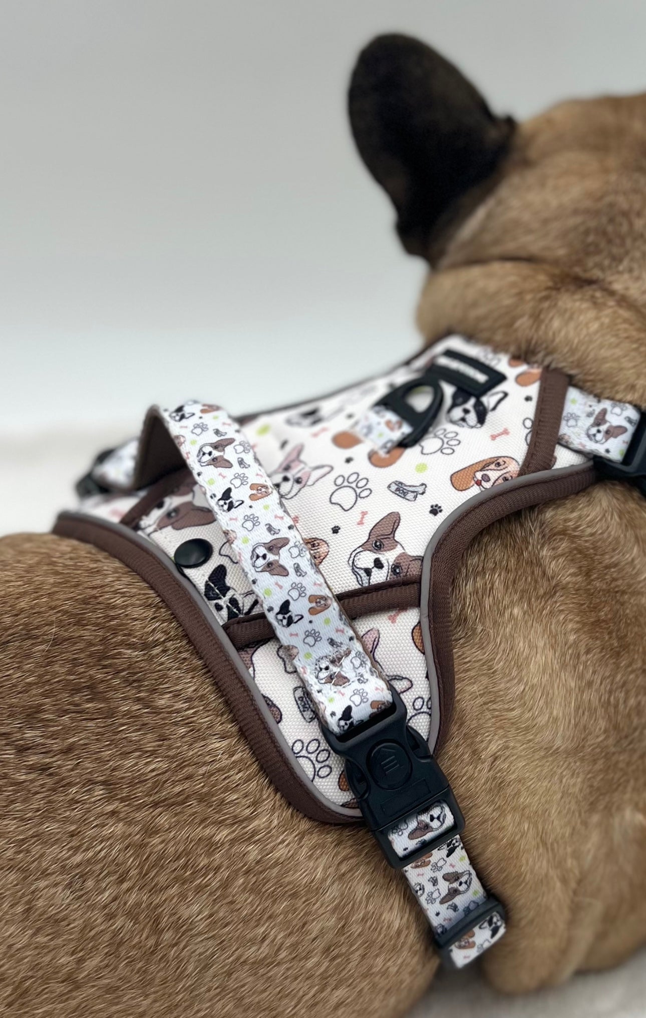 "Frenchie Fools & Spaniel Rules" Dog Harness Set - The Paws Explorer Collection - Available to Buy Separately or as a Full Matching Set