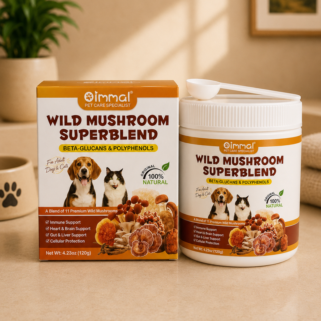 NEW ARRIVAL | Oimmal Wild Mushroom Superblend for Dogs & Cats