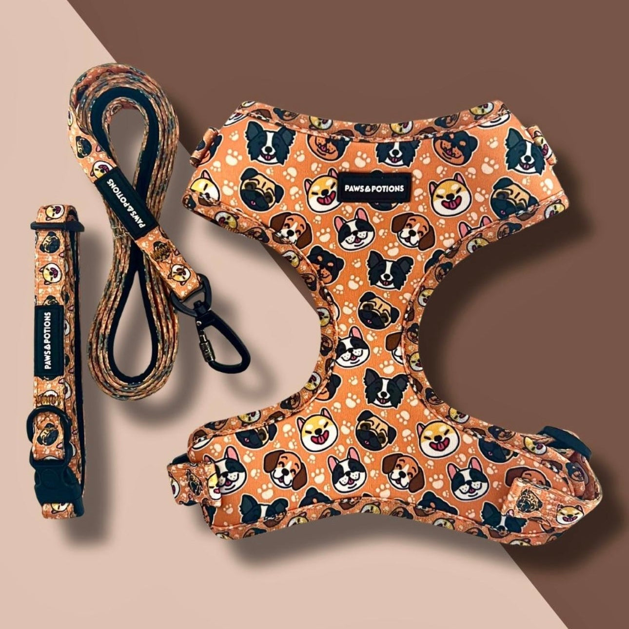 Dog Harness, Collar, Lead, Poo Bag Holder, Bow & Bandana - Paws Everyday Collection - “Puppy Pals”