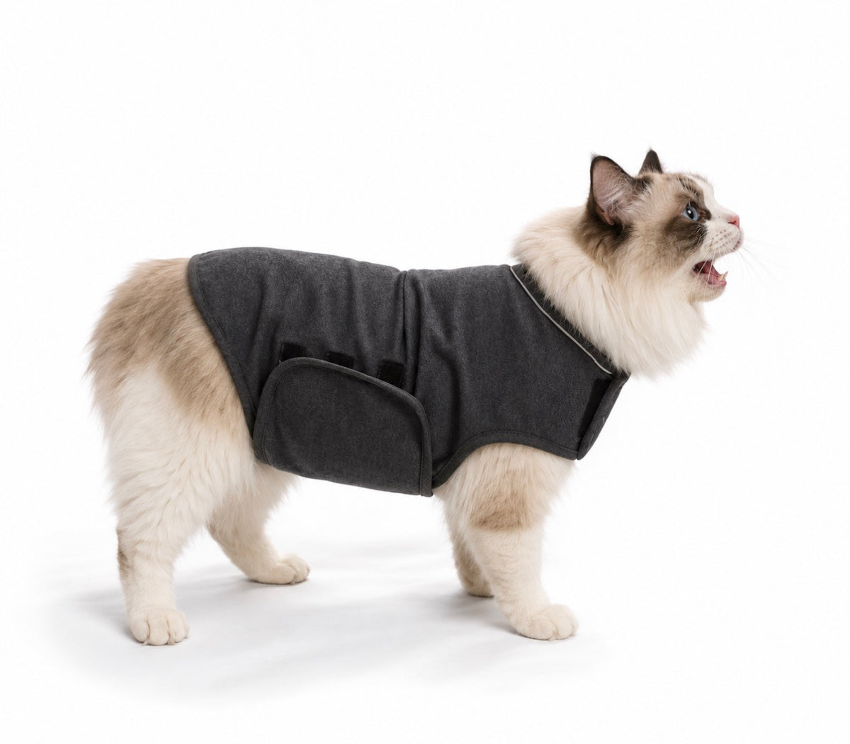 Paws & Potions® Calming Pet Anxiety Vest