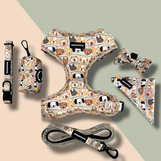 Paws & Potions® “Paws & Pals” – Paws Everyday Collection - Available to Buy Separately or a Full Set