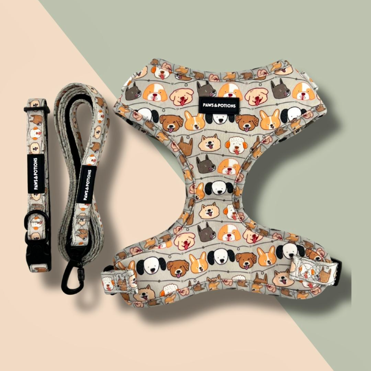 Paws & Potions® “Paws & Pals” – Paws Everyday Collection - Available to Buy Separately or a Full Set