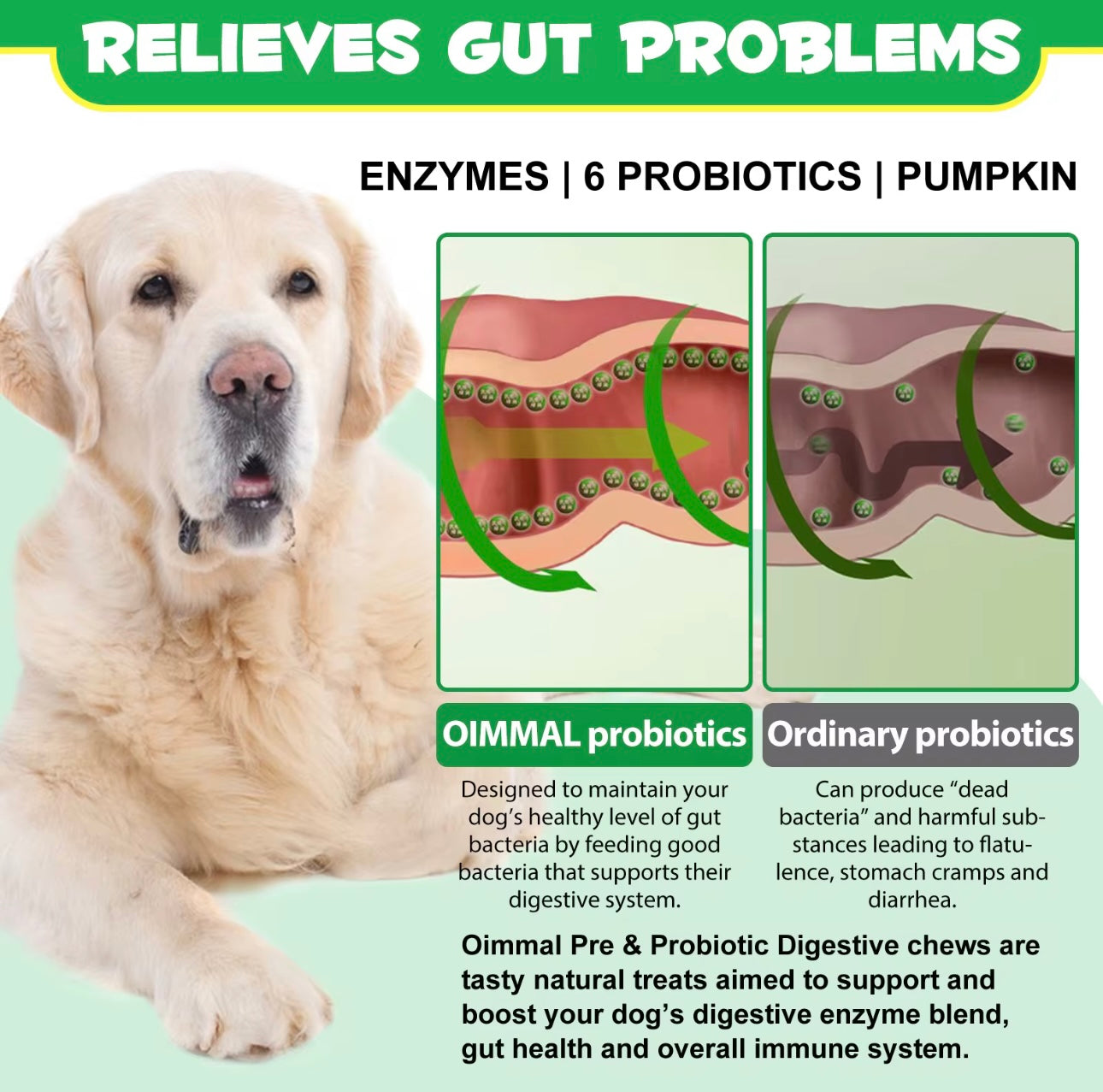 Oimmal Pre & Probiotic Digestive Chews for Dogs