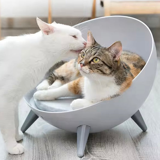 Modern Raised Cat Bed with Grey Cushion – Contemporary Bowl Design