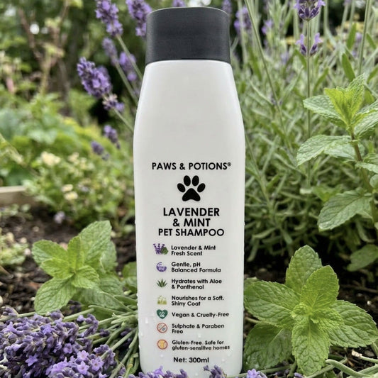 🌿Lavender & Mint Dog & Cat Shampoo – Natural Botanical Pet Shampoo - Paws & Potions®