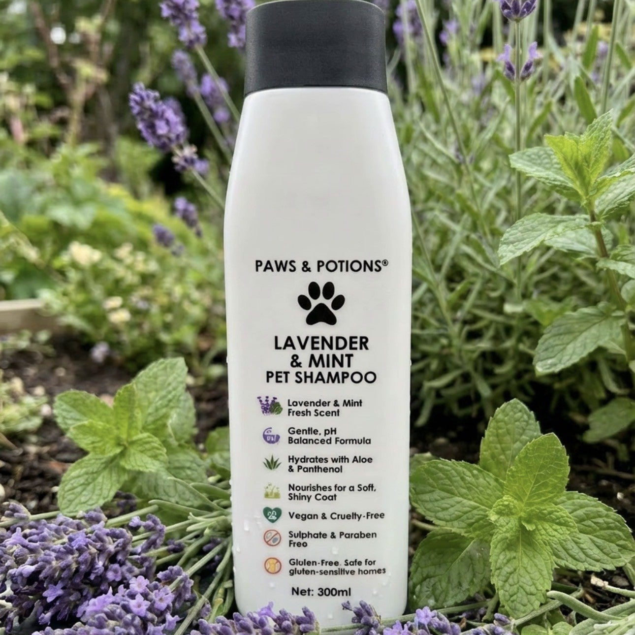 Botanical Dog & Cat Shampoo Collection – 5 Fragrance Bundle |Paws & Potions®