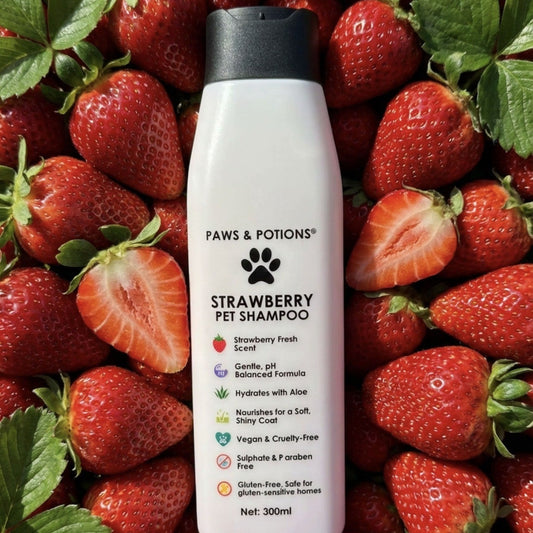 🍓 Strawberry Sweet Dog & Cat Shampoo – Natural Botanical Pet Shampoo Paws & Potions®