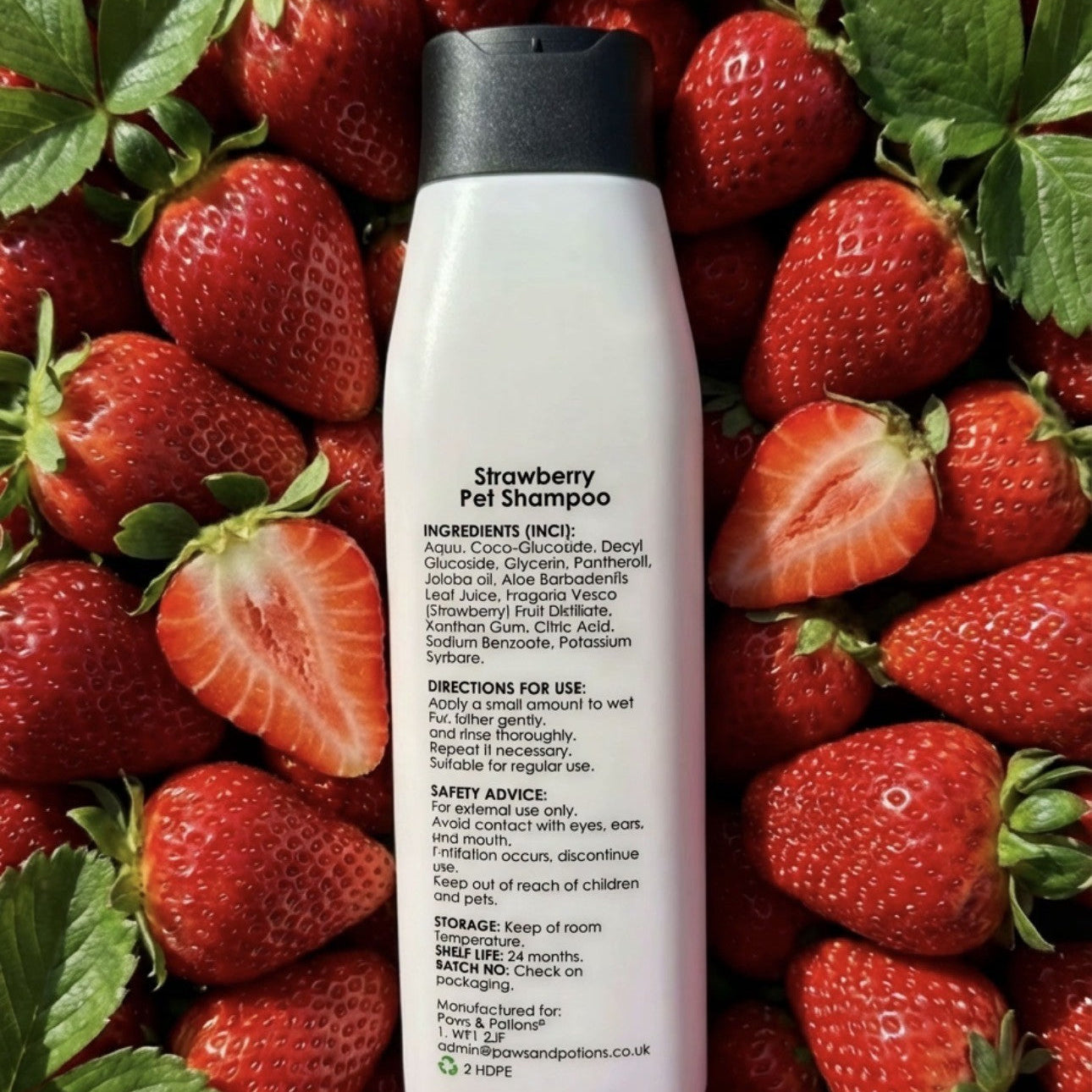 Botanical Dog & Cat Shampoo Collection – 5 Fragrance Bundle |Paws & Potions®
