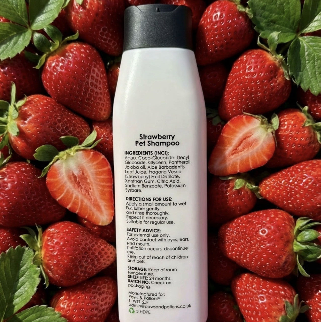 🍓 Strawberry Sweet Dog & Cat Shampoo – Natural Botanical Pet Shampoo Paws & Potions®