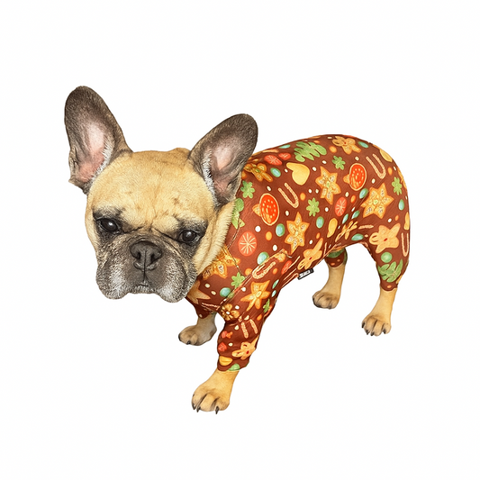 🎄Frenchie Festive “Biscuit & Bone Bonanza” Christmas Pyjamas