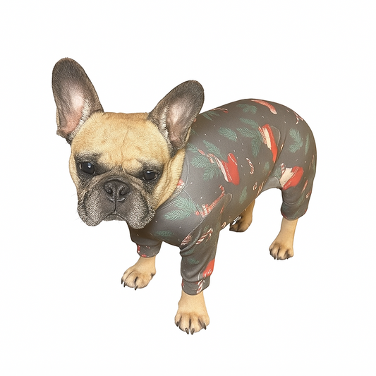 🎄Frenchie Festive “Stocking Sniffer” Christmas Pyjamas