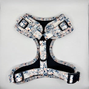 “Blossom Breeze” – Paws Everyday Collection - Available to Buy Separately or a Full Set