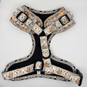 “Paws & Pals” – Paws Everyday Collection - Available to Buy Separately or a Full Set