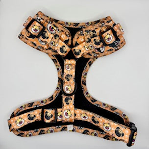 “Puppy Pals”– Paws Everyday Collection - Available to Buy Separately or a Full Set