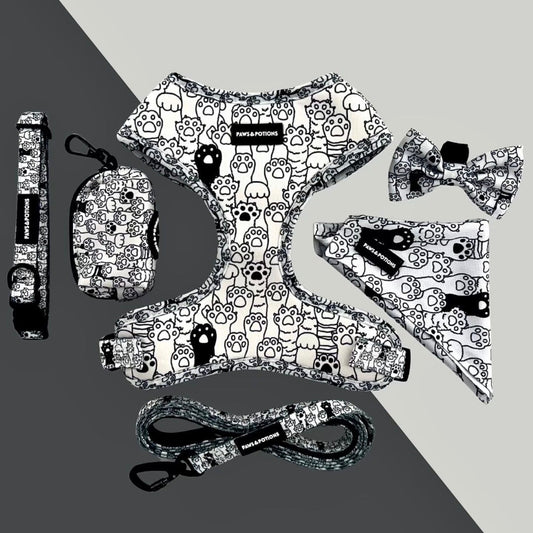 Dog Harness, Collar, Lead, Poo Bag Holder, Bow & Bandana - Paws Everyday Collection - “Paws & Sketches”