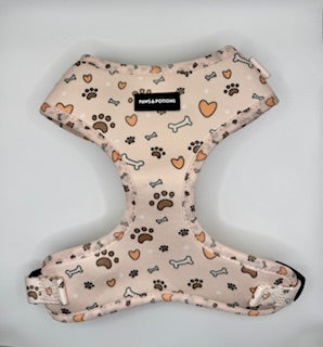 “Pawfect Love”  – Paws Everyday Collection - Available to Buy Separately or a Full Set