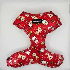 🎄 “Santa Paws”- Paws Everyday Collection - Available to Buy Separately or a Full Set 🎅