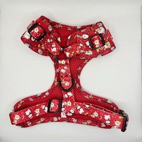 🎄 “Santa Paws”- Paws Everyday Collection - Available to Buy Separately or a Full Set 🎅