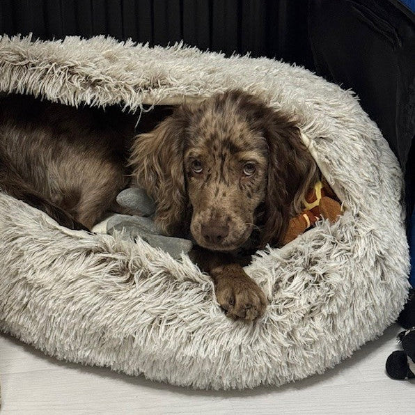 Luxury Fluffy Cave Pet Bed – 60cm