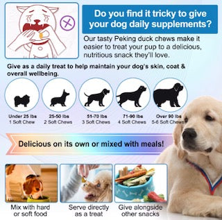 Oimmal Allergy Relief Immune Support Chews for Dogs