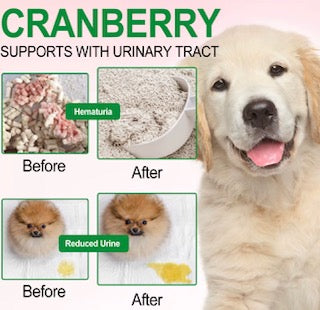 Oimmal Bladder Control & Cranberry Chews for Dogs