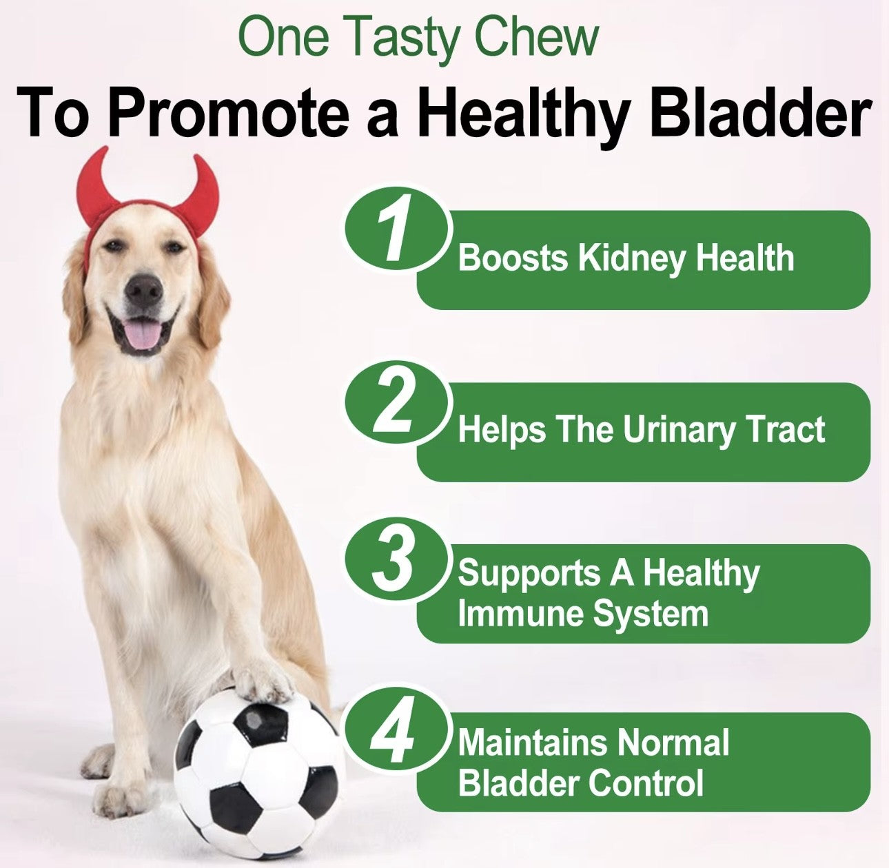 Oimmal Bladder Control & Cranberry Chews for Dogs