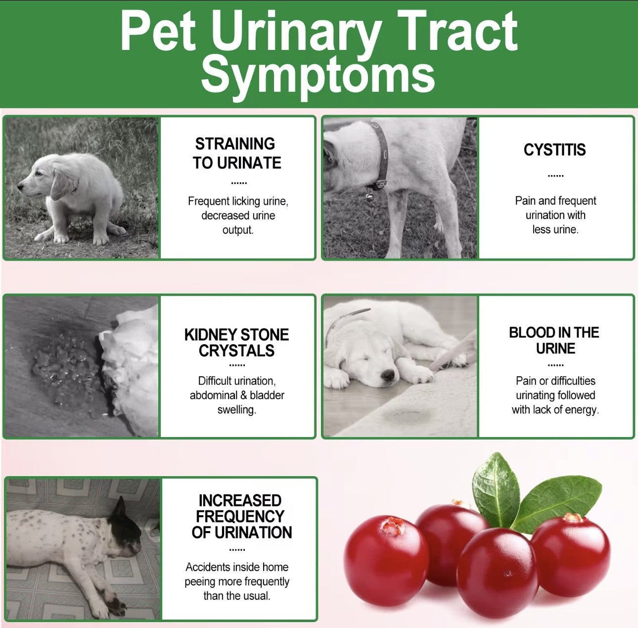 Oimmal Bladder Control & Cranberry Chews for Dogs