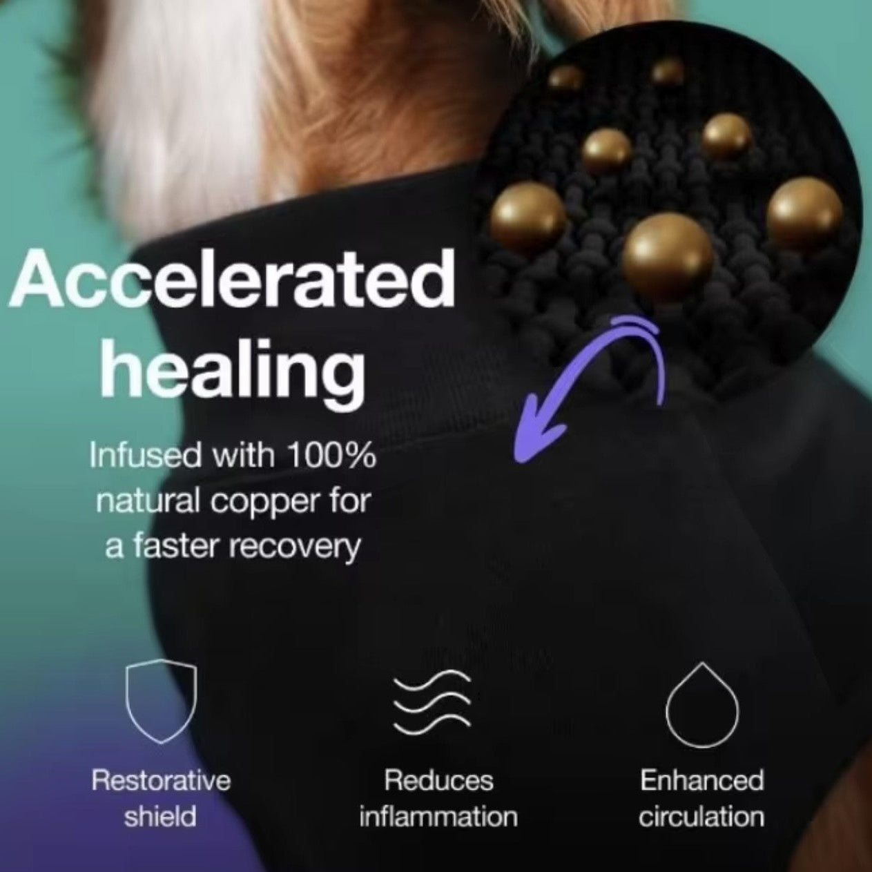 Post-Surgery Dog Recovery Vest – Comfort Fit Healing Shirt with Copper-Infused Fabric