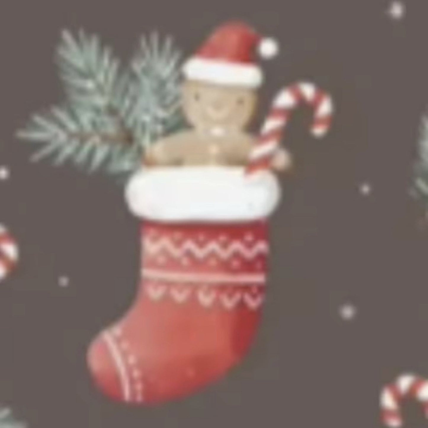 🎄Pooch Festive “Stocking Sniffer” Christmas Pyjamas