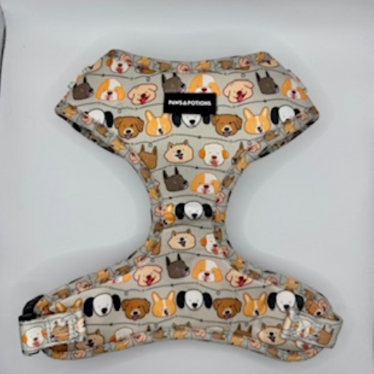 “Paws & Pals” – Paws Everyday Collection - Available to Buy Separately or a Full Set