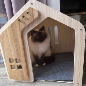 Modern Wooden Cat House with Ventilated Design