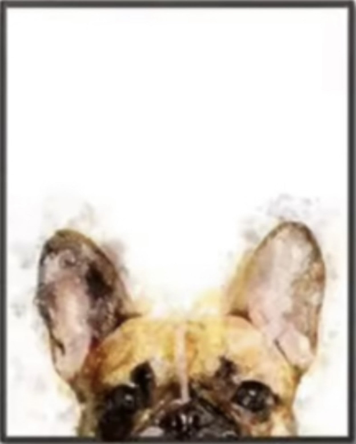 French Bulldog Canvas Art Prints – Set of 3 or Sold Separately