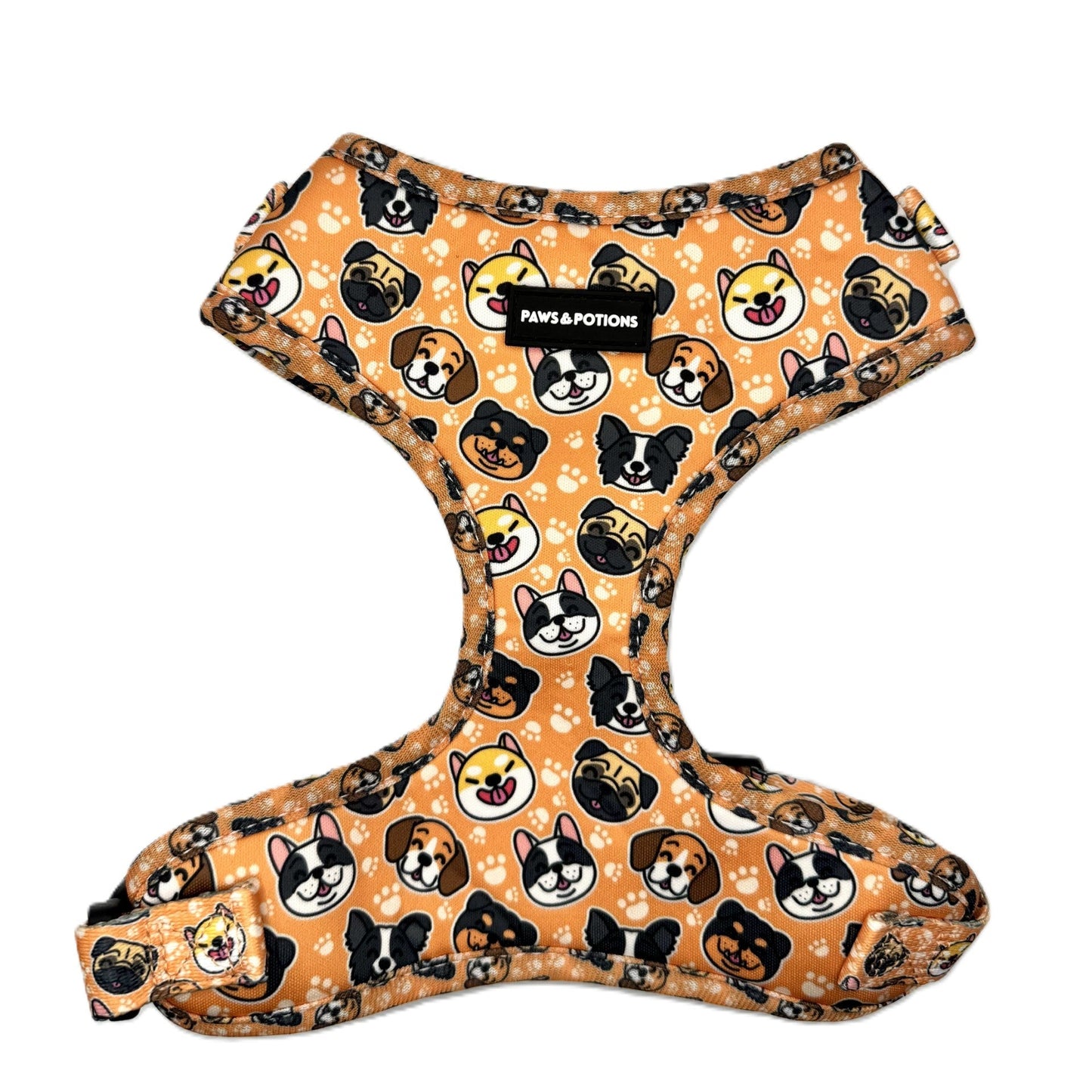 Dog Harness, Collar, Lead, Poo Bag Holder, Bow & Bandana - Paws Everyday Collection - “Puppy Pals”
