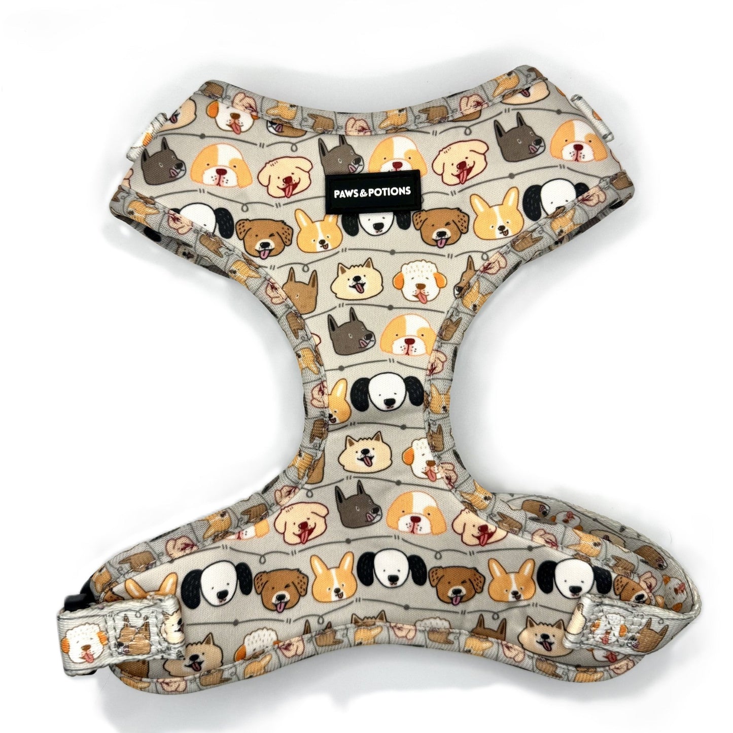 “Paws & Pals” – Paws Everyday Collection - Available to Buy Separately or a Full Set