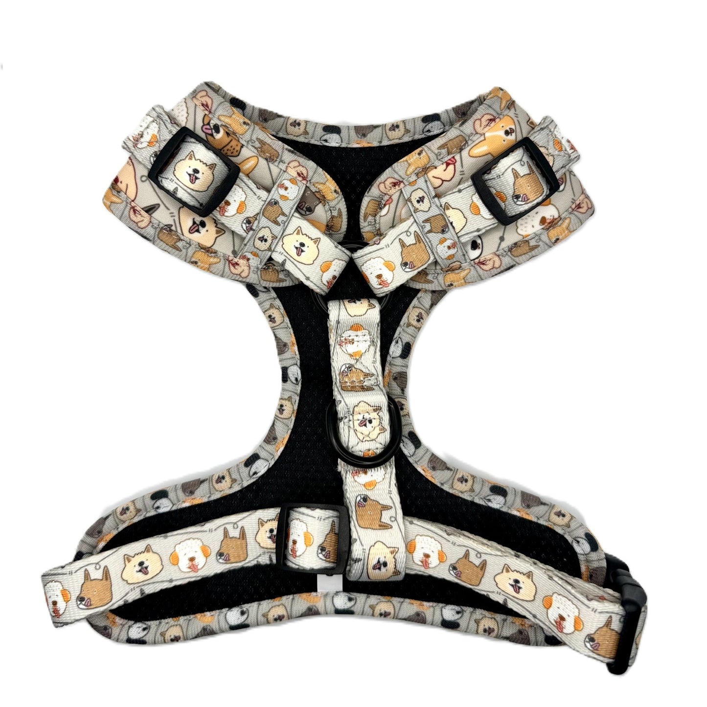 “Paws & Pals” – Paws Everyday Collection - Available to Buy Separately or a Full Set